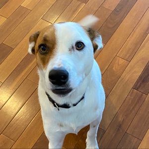 Meet your Posher, Jackie